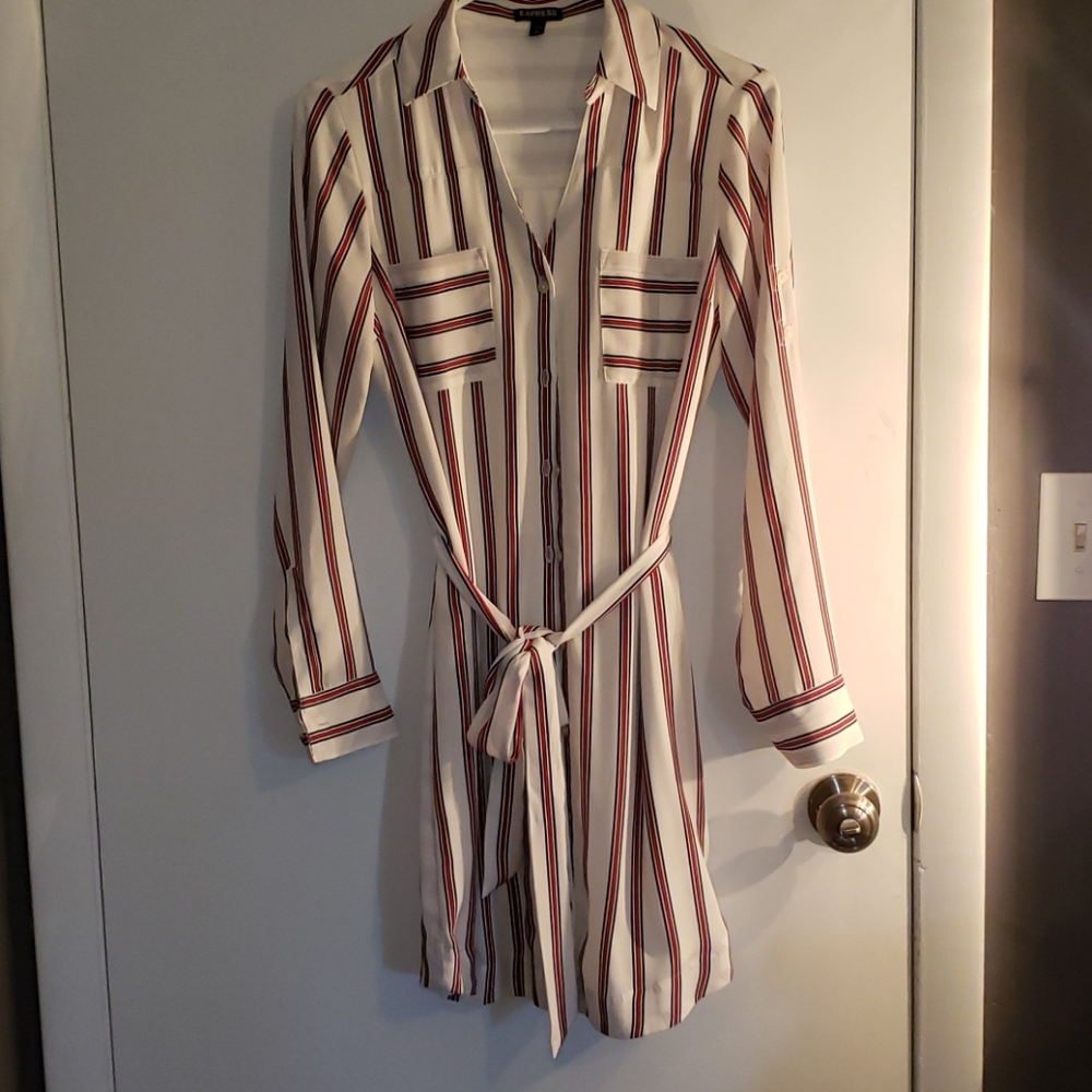 Express Striped Dress